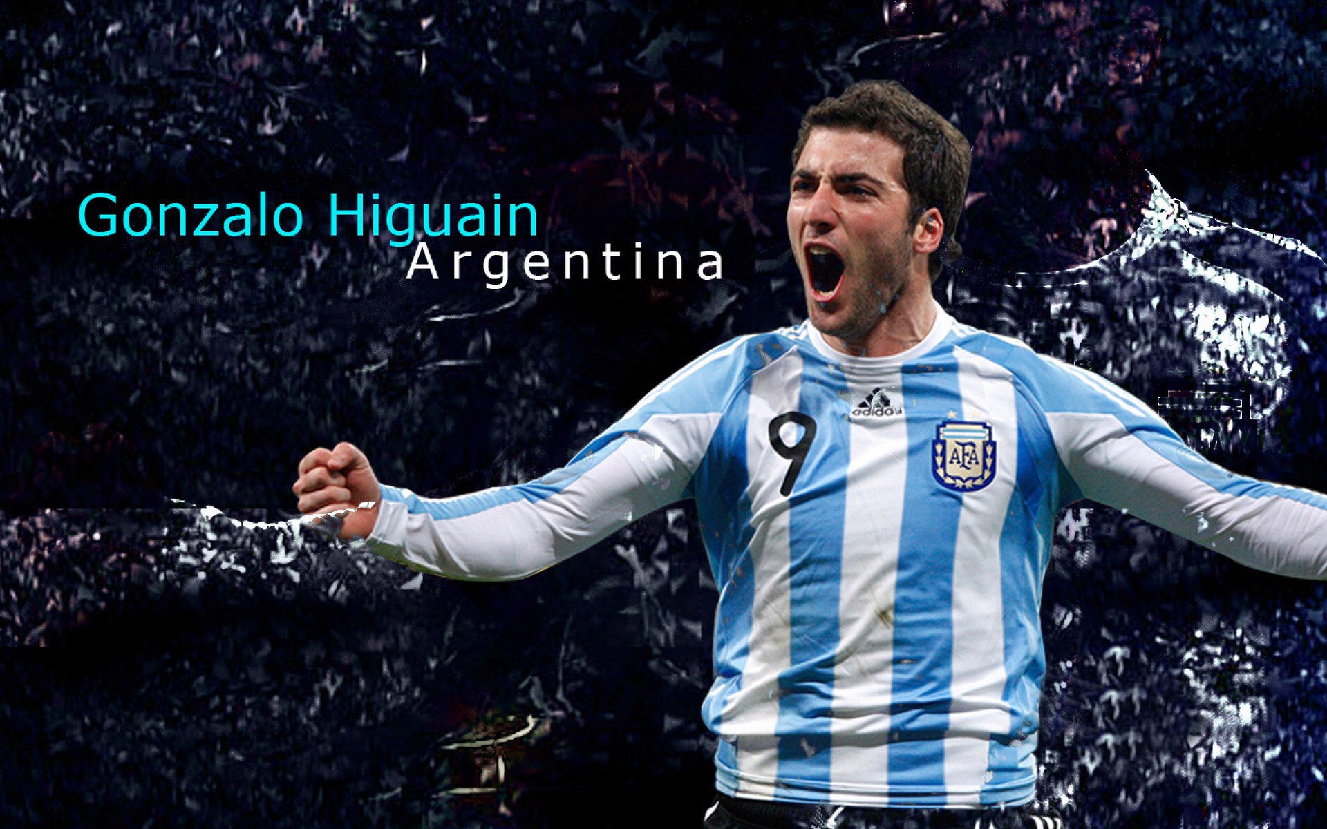 星空体育网页版-NBA球队粉丝增长策略，nba球队粉丝数