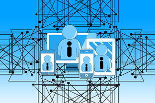 星空体育入口-NBA联盟裁判执法技术辅助研究，nba职业篮球裁判证